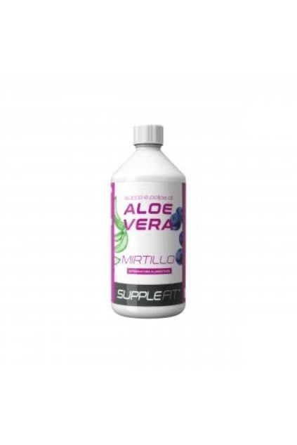 Saft und Fruchtfleisch der Aloe Vera mit Heidelbeere